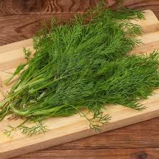 Image result for Dill