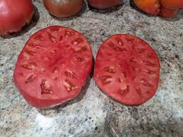 Afbeeldingsresultaat voor stump of the world tomato