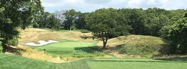 Image result for Reigate Heath Golf Club
