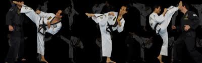 Image result for Cardiff Choi Kwang-Do