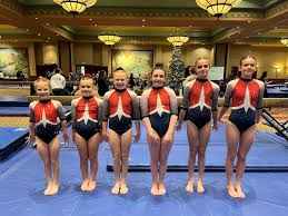 Image result for Asymmetrix Gymnastics Club