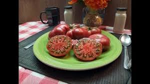 Afbeeldingsresultaat voor purple calabash tomato