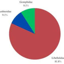 Attēlu rezultāti vaicājumam “Scardia boletella pupa”