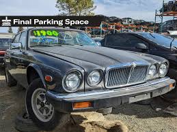Image result for Antelope 1986 Jaguar