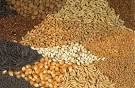 A single food <b>seed</b> can be as