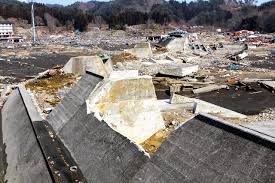 Image result for 耐震 大津波無力