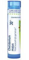 Image result for Chelidonium majus
