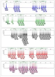 Image result for selvatici tehron