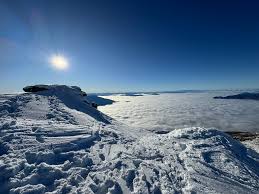 Image result for Wellington Whirlwinds Tc