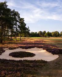 Image result for Hankley Common Golf Club