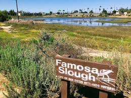 Image result for Slough