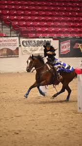 Image result for horse girl gun