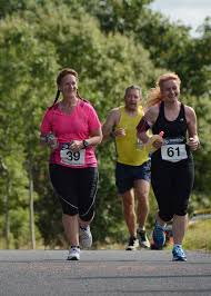 Image result for Wee County Harriers