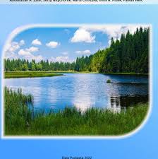 Attēlu rezultāti vaicājumam “Licea pusilla sessile”