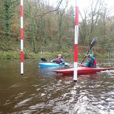 Image result for Seren Dwr