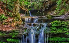 Image result for Ombersley Cricket Club