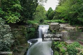 Image result for Jesmond Dene Badminton Club