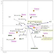 Attēlu rezultāti vaicājumam “Oenothera rubricauli flower”