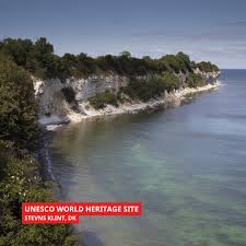 Image result for stevns klint