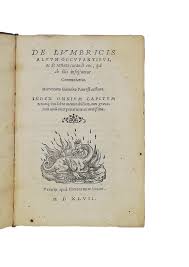 Image result for gabucino