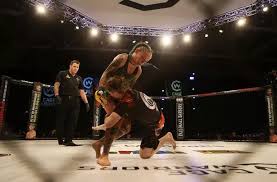 Image result for Cardiff Mma
