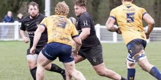 Image result for Rochford Hundred Rugby Club