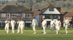 Image result for Waverley Cricket Club