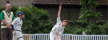 Image result for Effingham Cricket Club