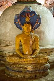 Image result for Дамбулла