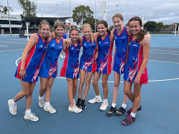 Image result for Valhalla Netball Club