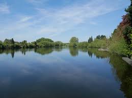 Image result for Hinksey Sculling School Club