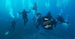 Image result for Underwater Adventures