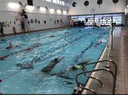Image result for Abertillery Piranhas Swimming Club