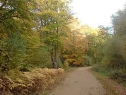 Image result for Epping Runners