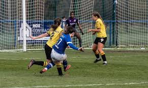 Image result for Haywards Heath Town Ladies Football Club