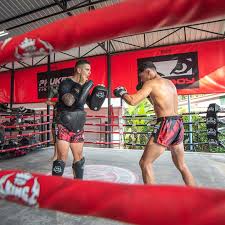 Image result for Muay Thai Clubs