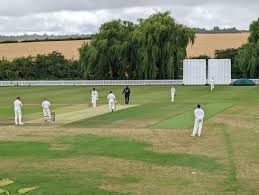 Image result for Louth Cricket Club