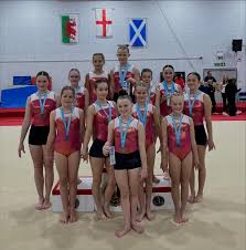 Image result for Harnham Gymnastics Club