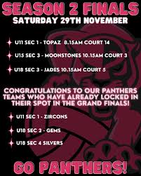 Image result for Onslow Pink Panthers Junior Netball Club