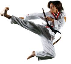 Image result for Dallo Martial Arts
