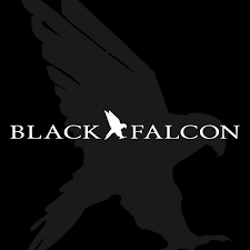 Image result for Falcons Black