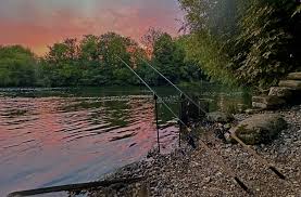 Image result for Thames Valley Angling