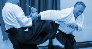 Image result for Ryusui-ryu Martial Arts School East Grinstead