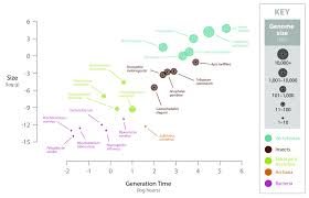 Image result for genome sizes