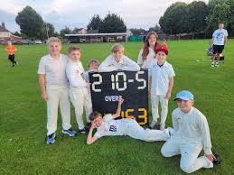 Image result for Felixstowe and Corinthians Youth Cc