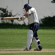 Image result for Stirling County Cricket Club