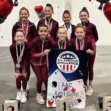Image result for South Western Gymnastics Club