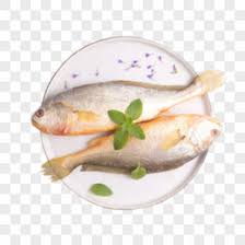 Image result for 公害SEARCH