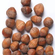 Attēlu rezultāti vaicājumam “Corylus colurna”