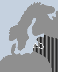 Attēlu rezultāti vaicājumam “Juncus nastanthus”